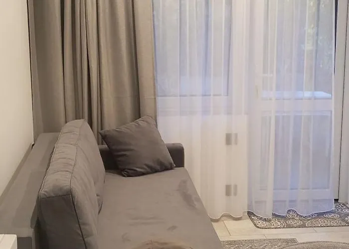 Apartment New And Comfort